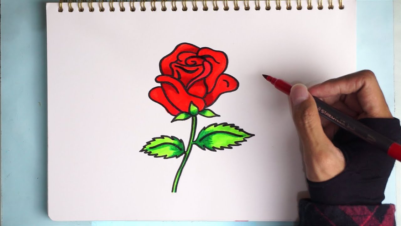 Detail Gambar Bunga Mawar Yg Simpel Nomer 54