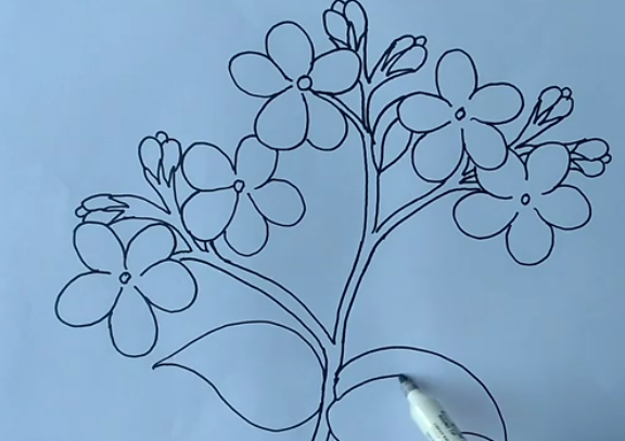 Detail Gambar Bunga Melati Biru Nomer 50