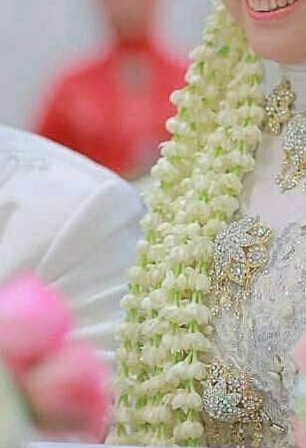 Detail Gambar Bunga Melati Pengantin Nomer 20