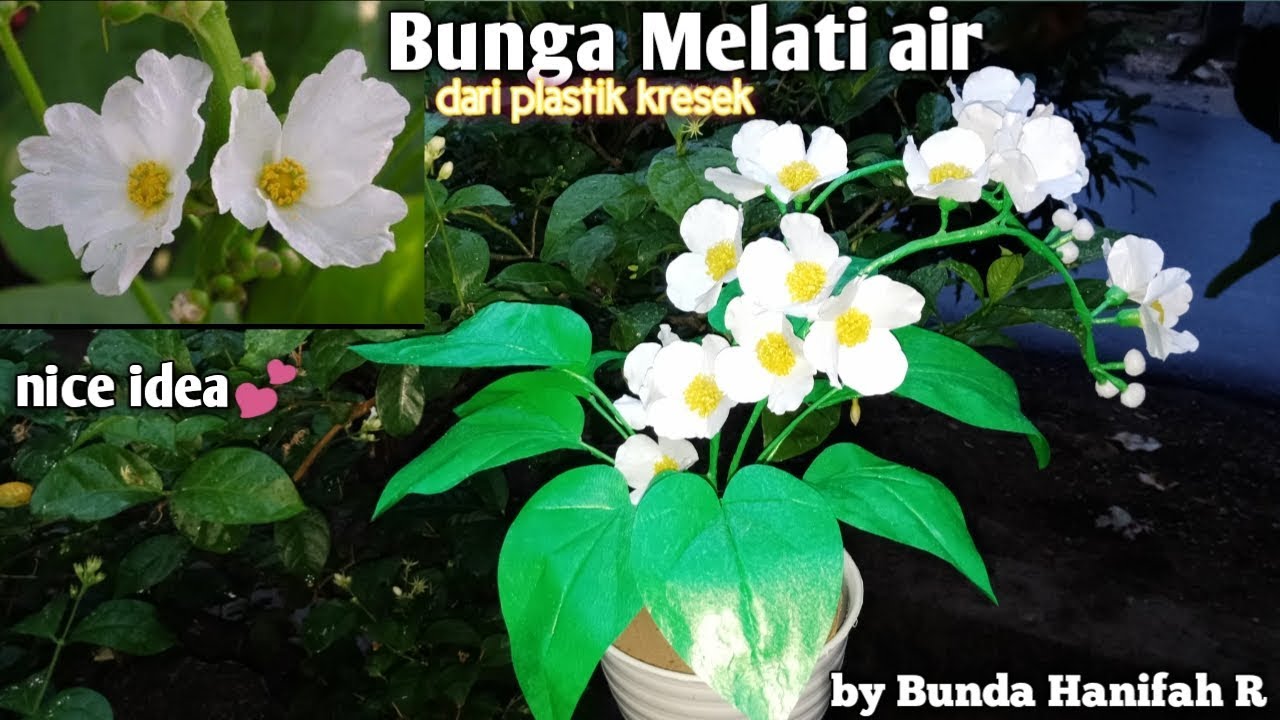 Detail Gambar Bunga Melati Plastik Nomer 25