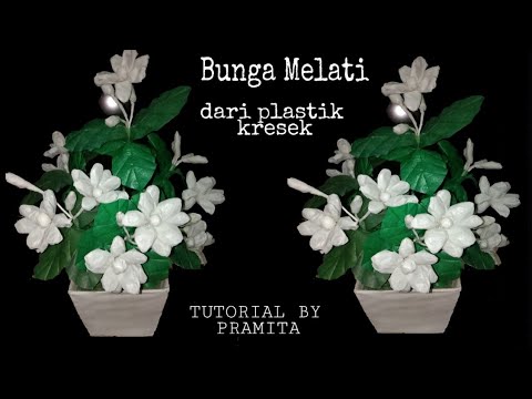 Detail Gambar Bunga Melati Plastik Nomer 4