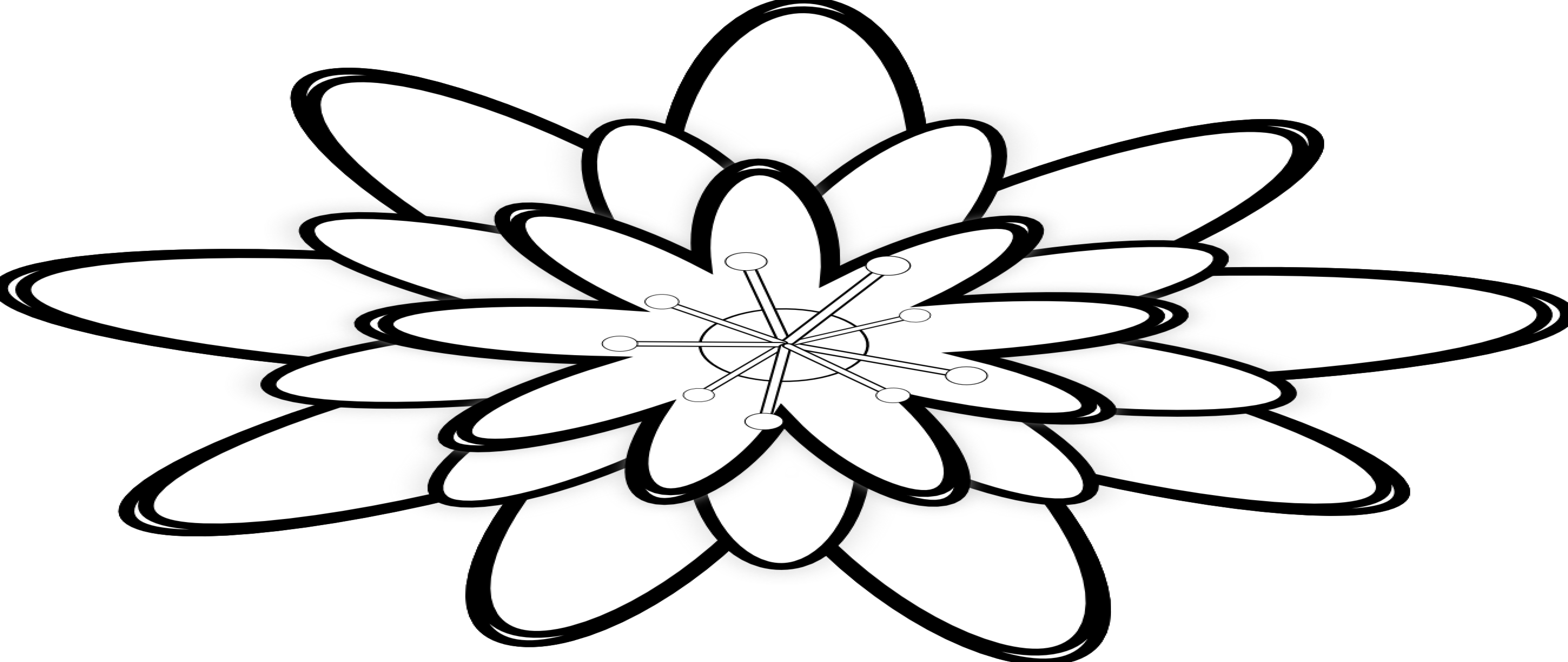 Detail Gambar Bunga Melati Putih Hitam Nomer 28