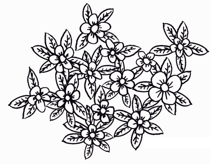 Detail Gambar Bunga Melati Sketsa Nomer 29