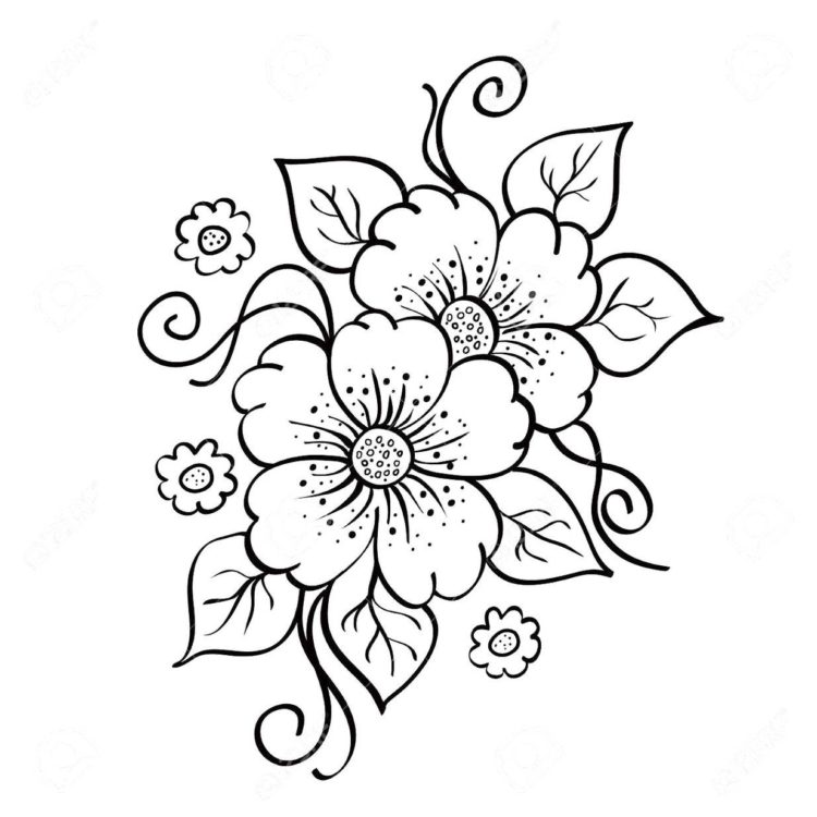 Detail Gambar Bunga Melati Sketsa Nomer 32