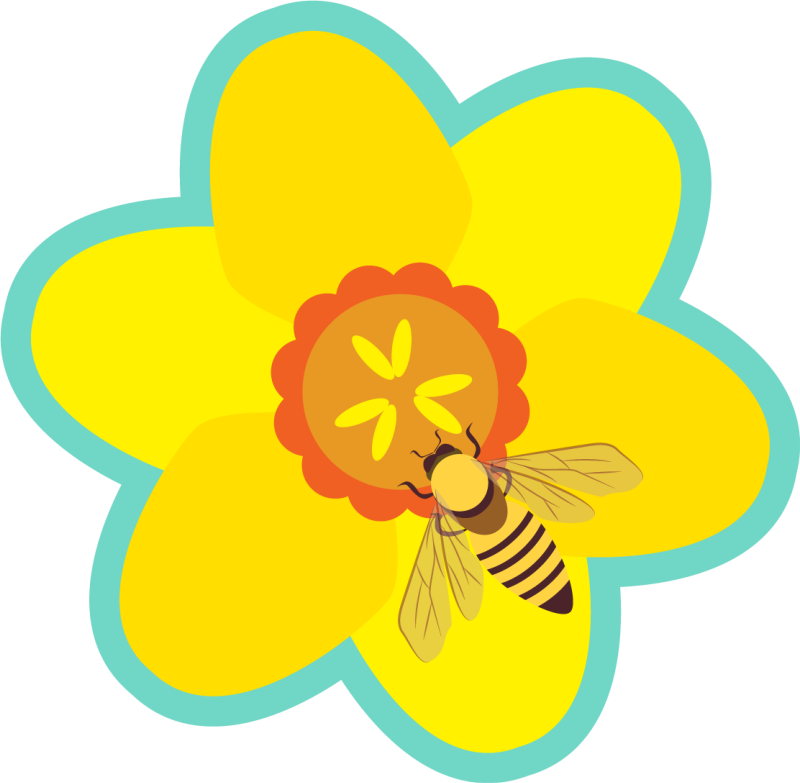 Gelbe Kleine Blume - KibrisPDR