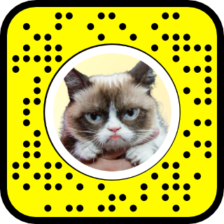 Detail Grumpy Cat Ragdoll Nomer 8