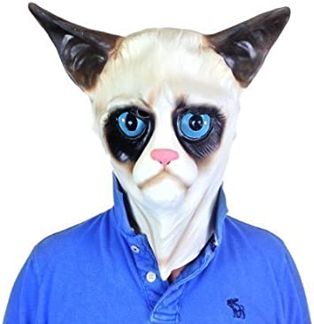 Detail Grumpy Cat Ragdoll Nomer 16
