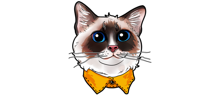 Detail Grumpy Cat Ragdoll Nomer 17
