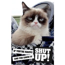 Detail Grumpy Cat Ragdoll Nomer 20
