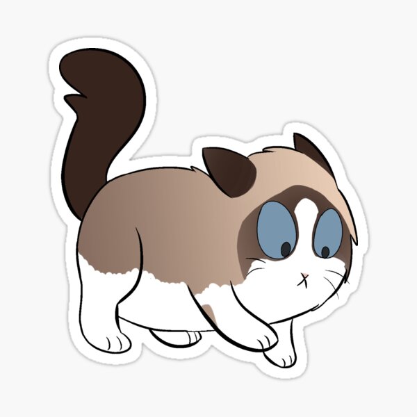 Detail Grumpy Cat Ragdoll Nomer 3