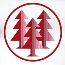 Detail Holz Emblem Nomer 8