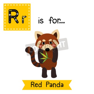 Detail Roter Panda Englisch Nomer 6