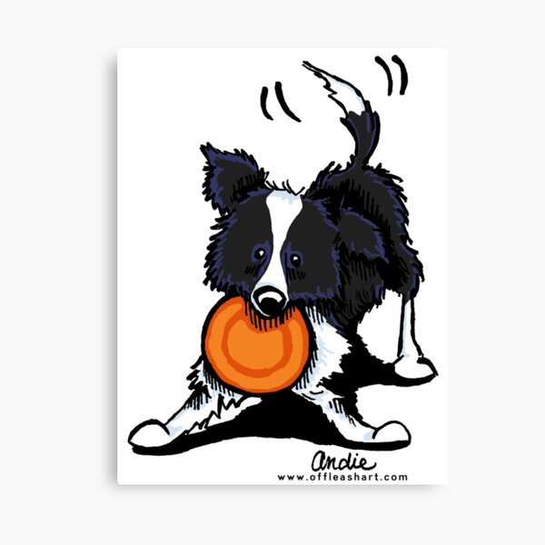Detail Border Collie Gezeichnet Nomer 3