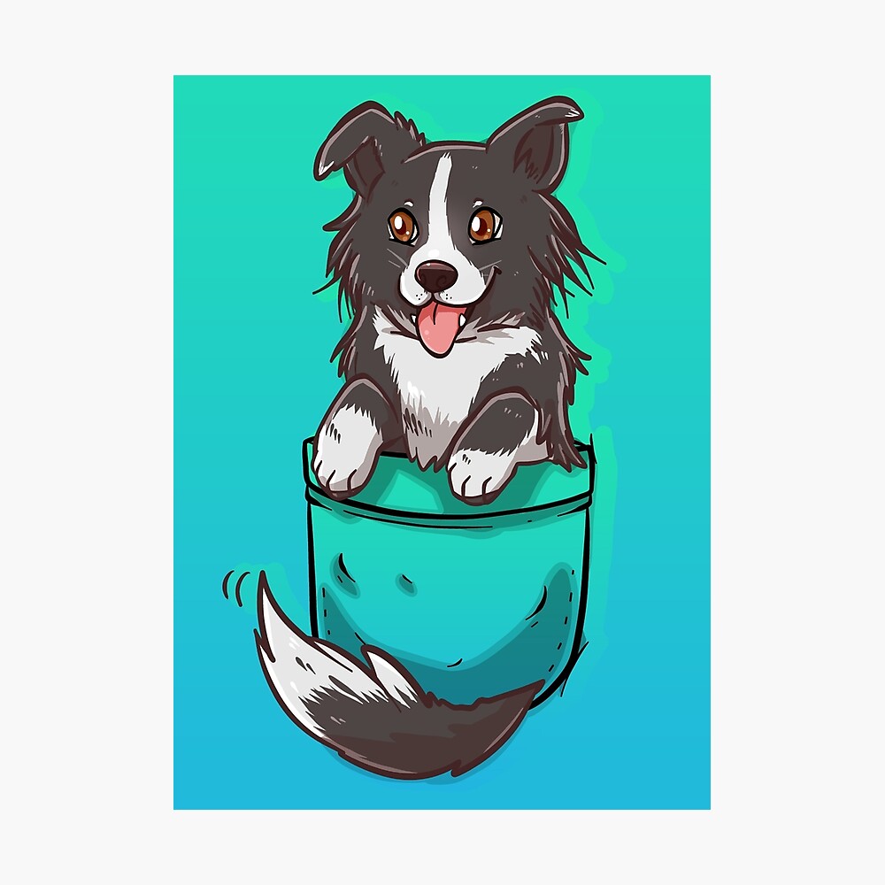 Detail Border Collie Gezeichnet Nomer 4