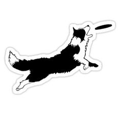 Detail Border Collie Gezeichnet Nomer 7