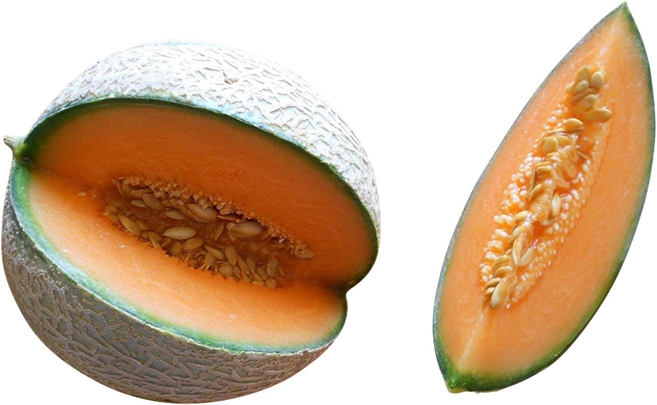 Cantaloupe Melone Samen - KibrisPDR