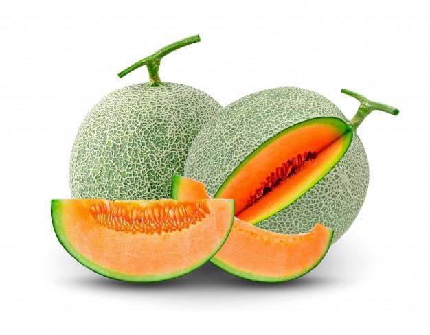 Detail Cantaloupe Melone Samen Nomer 26