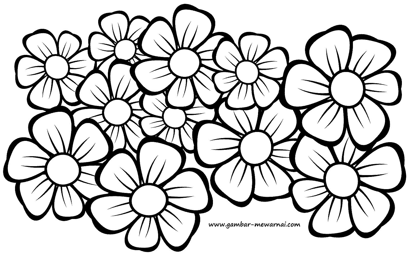 Detail Gambar Bunga Mewarnai Nomer 29