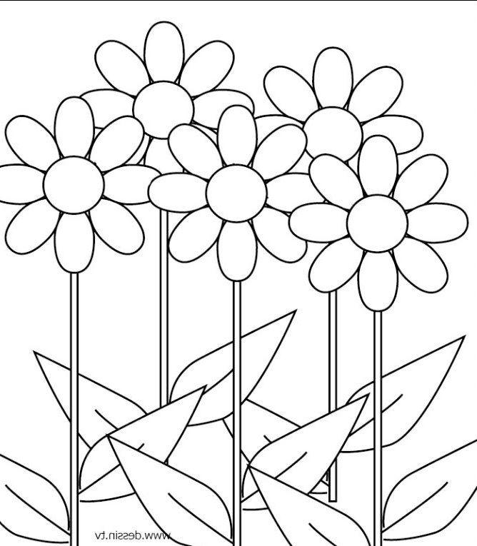 Detail Gambar Bunga Mewarnai Hitam Putih Nomer 11