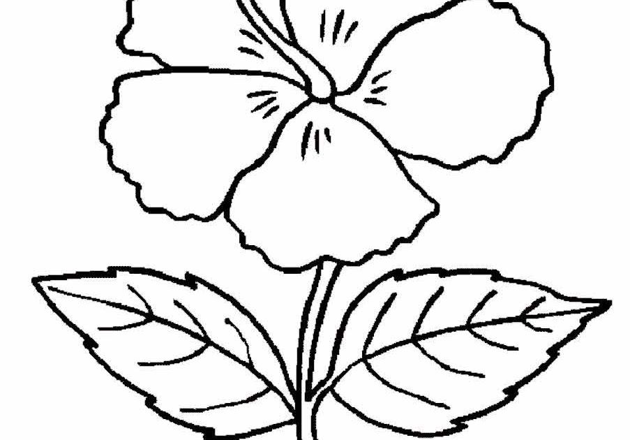 Detail Gambar Bunga Mewarnai Hitam Putih Nomer 16