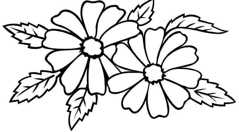 Detail Gambar Bunga Mewarnai Hitam Putih Nomer 17