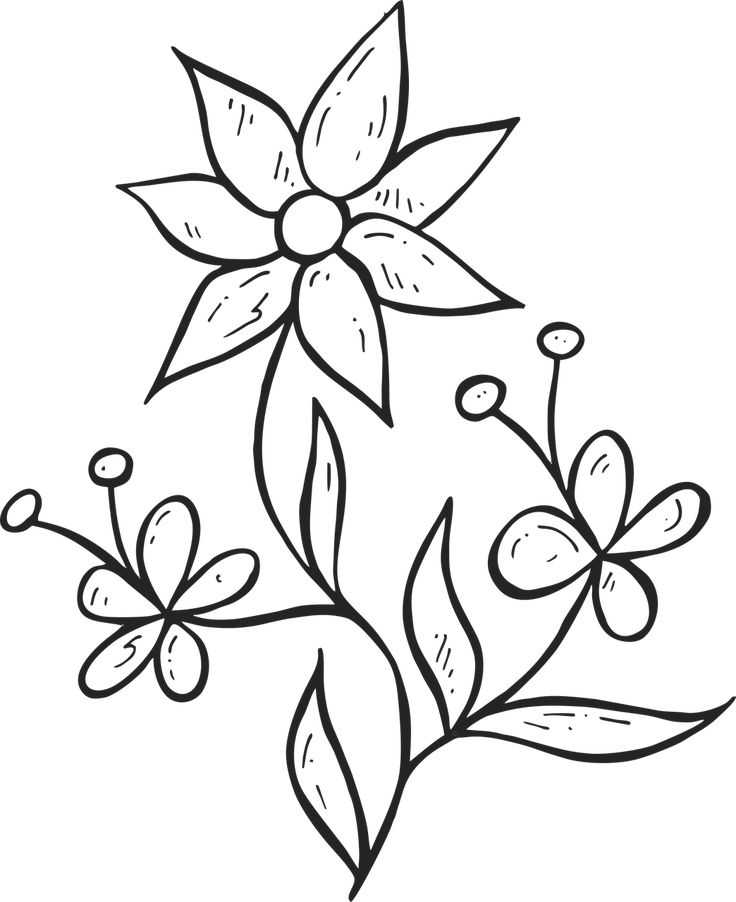 Detail Gambar Bunga Mewarnai Hitam Putih Nomer 23