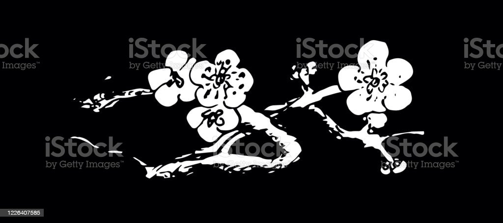 Detail Gambar Bunga Mewarnai Hitam Putih Nomer 29