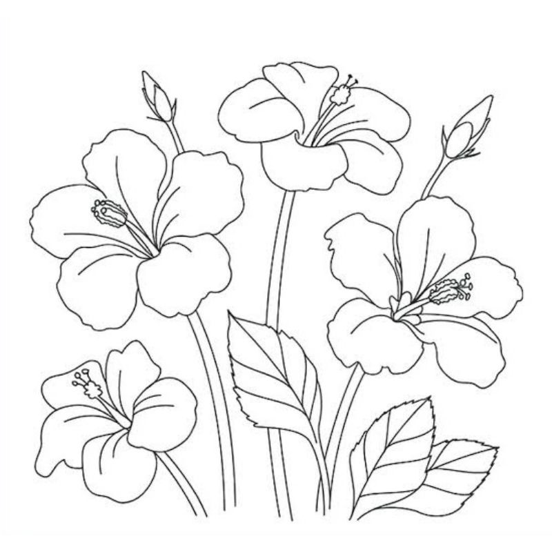Detail Gambar Bunga Mewarnai Hitam Putih Nomer 30