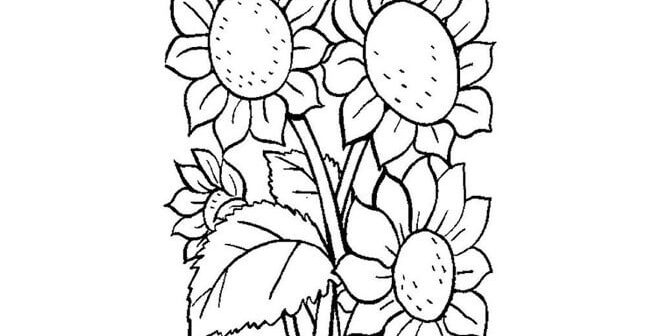 Detail Gambar Bunga Mewarnai Hitam Putih Nomer 39