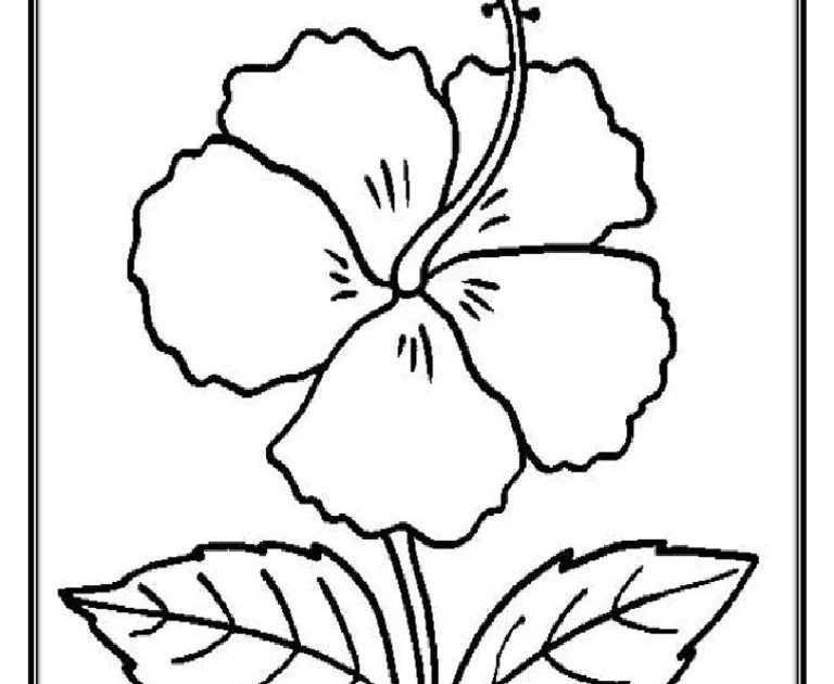 Detail Gambar Bunga Mewarnai Hitam Putih Nomer 40