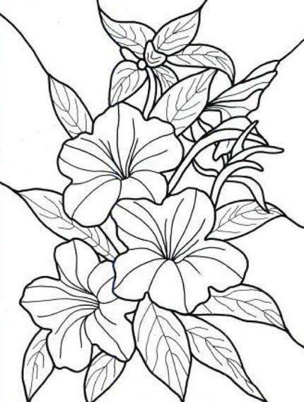 Detail Gambar Bunga Mewarnai Hitam Putih Nomer 42