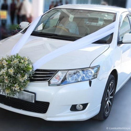 Detail Gambar Bunga Mobil Pengantin Nomer 33