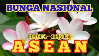 Detail Gambar Bunga Nasional Nomer 17