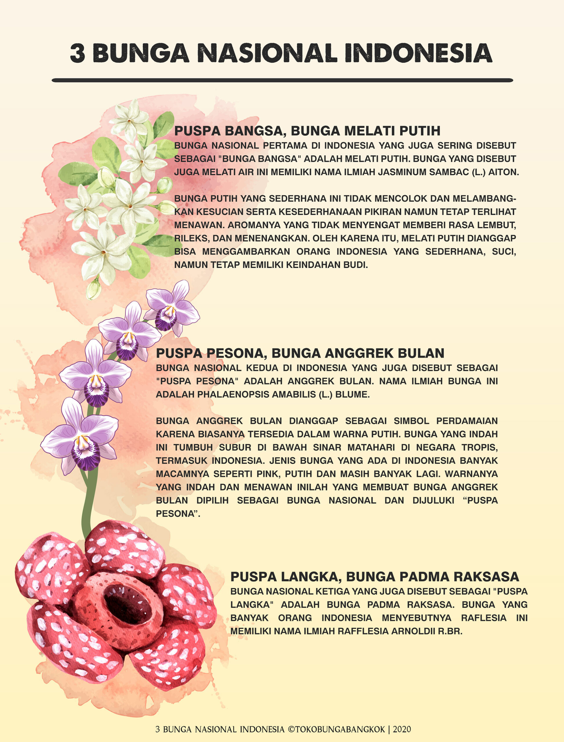 Detail Gambar Bunga Nasional Nomer 43