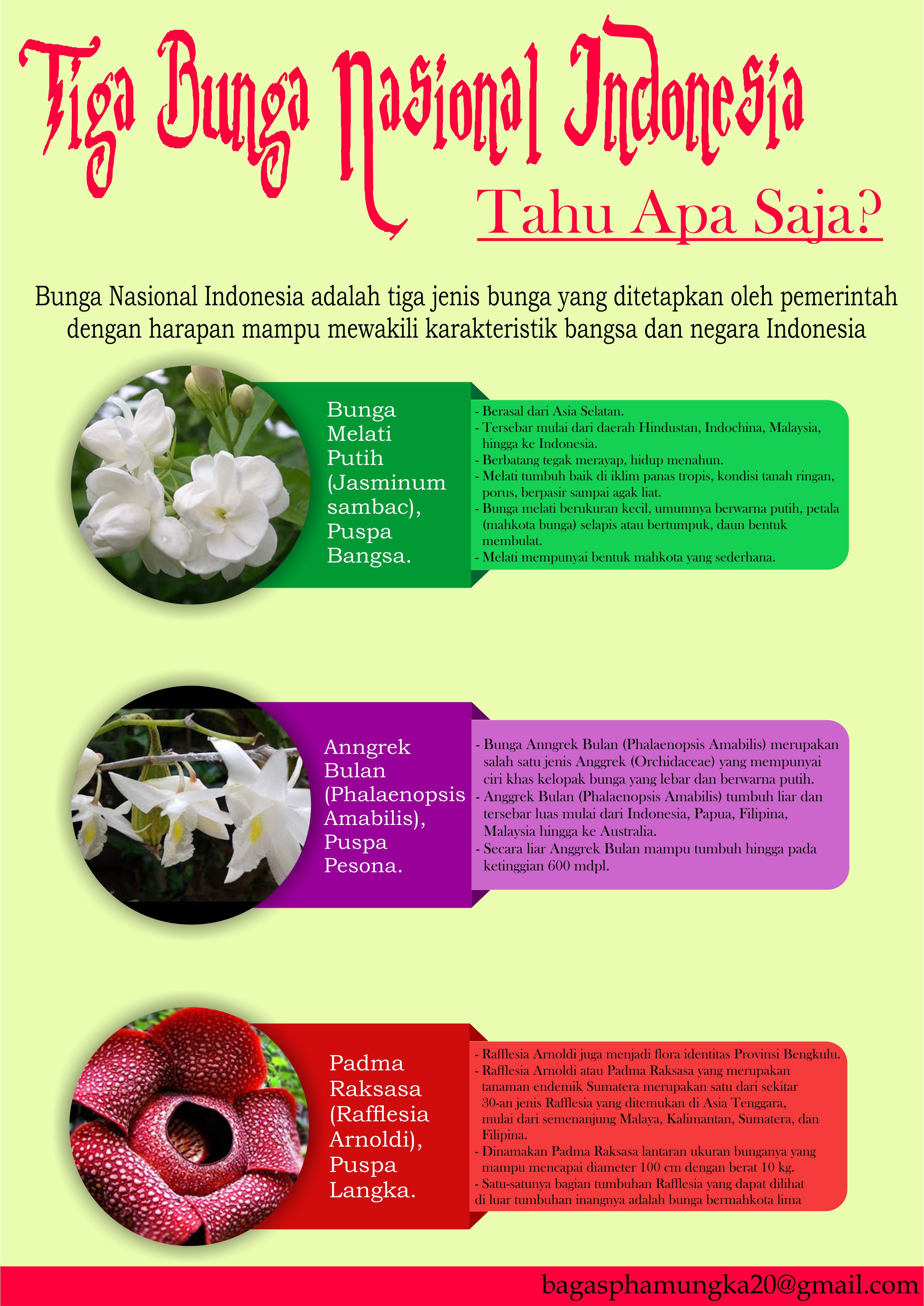 Detail Gambar Bunga Nasional Di Indonesia Nomer 20