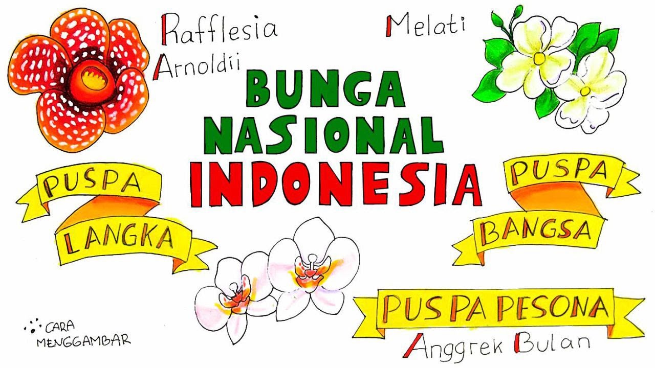 Detail Gambar Bunga Nasional Indonesia Nomer 42