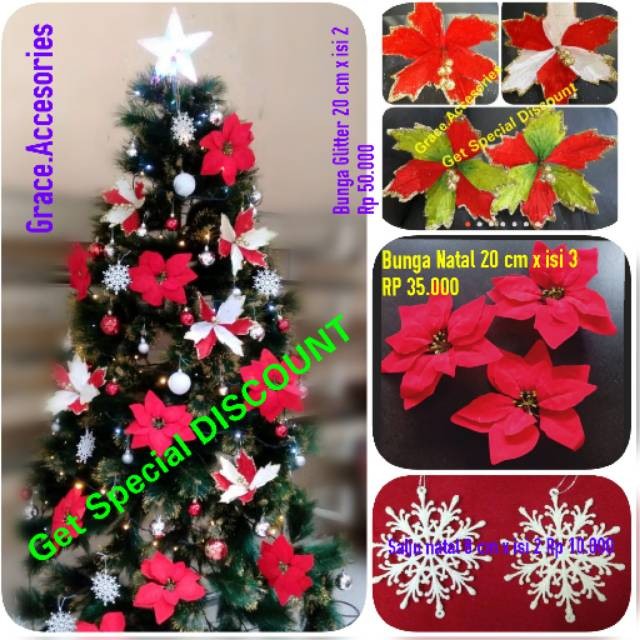 Detail Gambar Bunga Natal Nomer 29