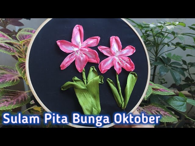 Detail Gambar Bunga Oktober Nomer 30