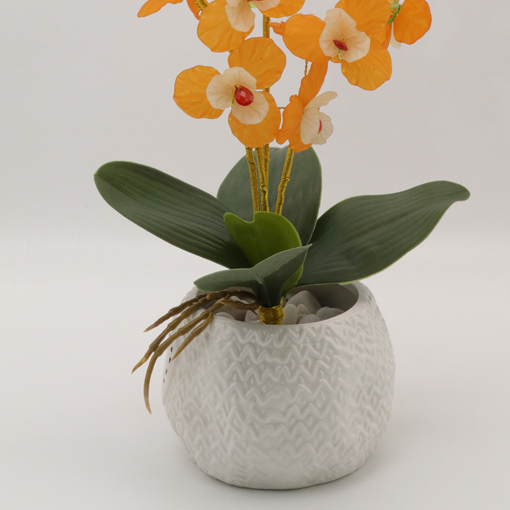 Detail Gambar Bunga Orkid Hiasan Nomer 32