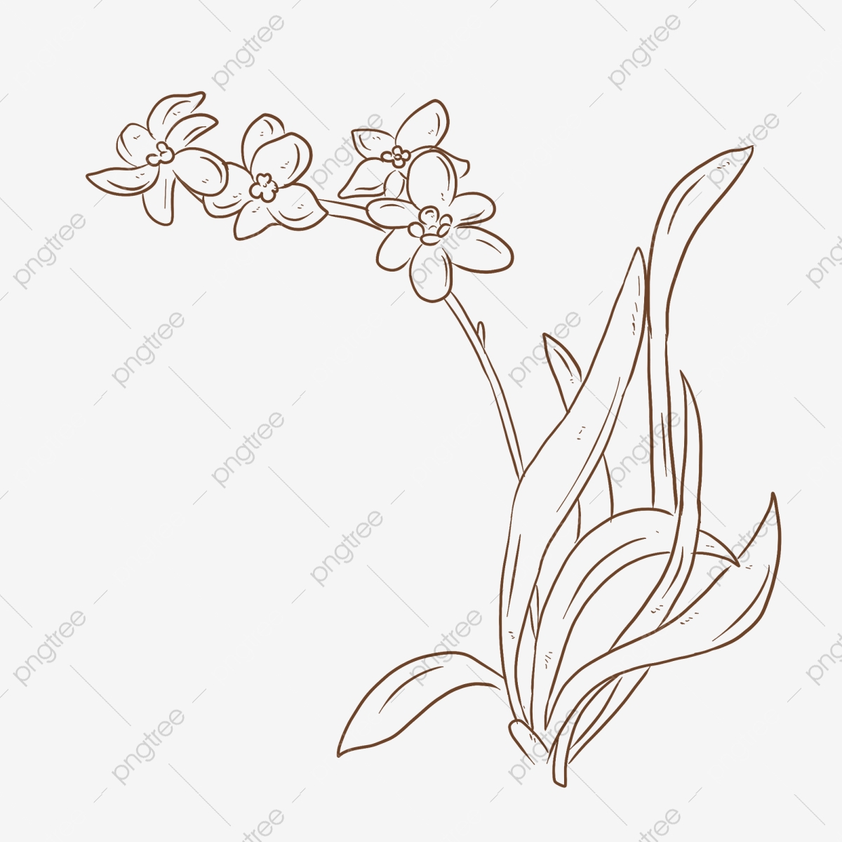 Detail Gambar Bunga Orkid Kartun Nomer 30