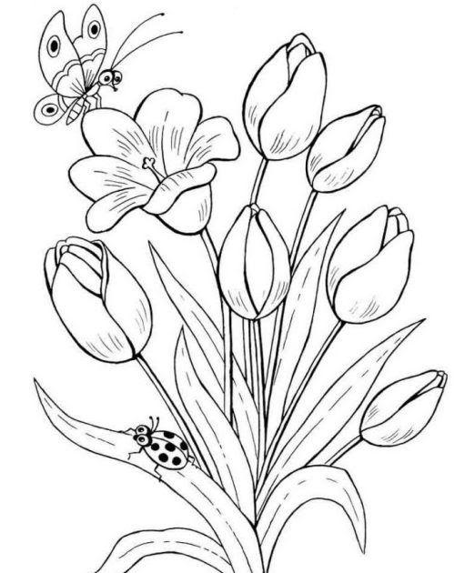 Detail Gambar Bunga Pakai Pensil Nomer 15