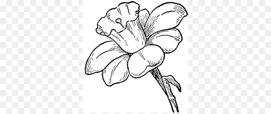 Detail Gambar Bunga Pensil Nomer 34