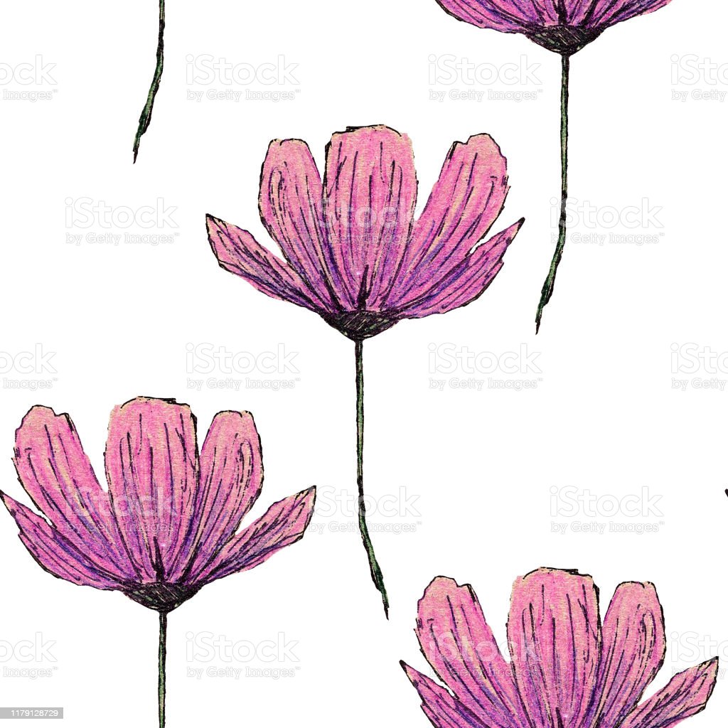 Detail Gambar Bunga Pensil Nomer 51