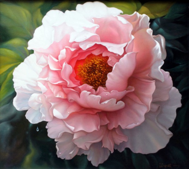 Detail Gambar Bunga Peony Nomer 44