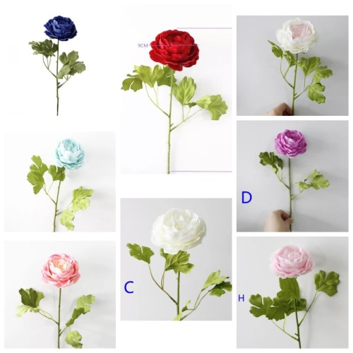 Detail Gambar Bunga Peony Nomer 47