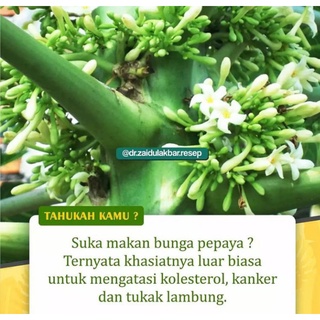 Detail Gambar Bunga Pepaya Sempurna Nomer 46