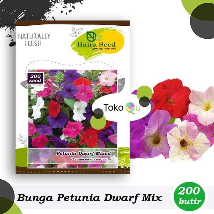 Detail Gambar Bunga Petunia Nomer 35