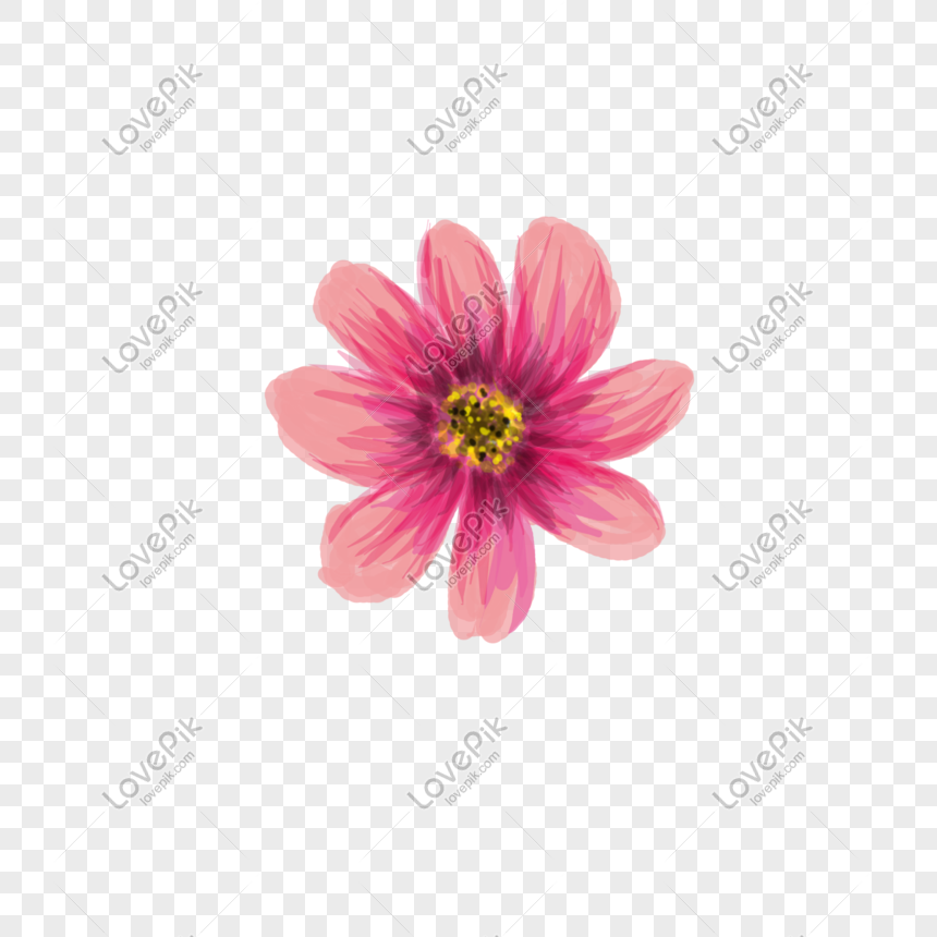 Detail Gambar Bunga Pink Png Gambar Animasi Bunga Merahmuda Png Nomer 24