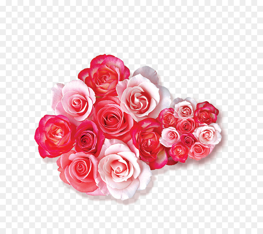 Detail Gambar Bunga Pink Png Gambar Animasi Bunga Merahmuda Png Nomer 33
