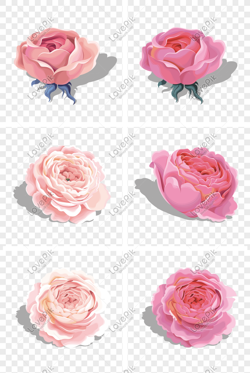 Detail Gambar Bunga Pink Png Gambar Animasi Bunga Merahmuda Png Nomer 35